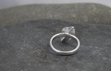 Load image into Gallery viewer, Silver Leaf Ring